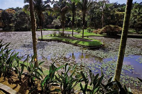 某屋|Jardim Botânico SP